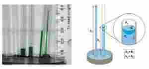 Image module