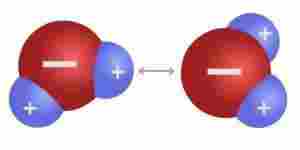 Image module